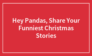 Hey Pandas, Share Your Funniest Christmas Stories