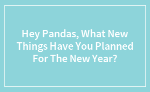 Hey Pandas, What New Things Have You Planned For The New Year?