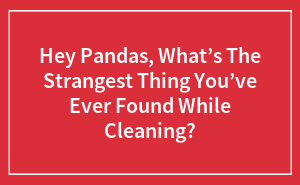 Hey Pandas, What’s The Strangest Thing You’ve Ever Found While Cleaning?