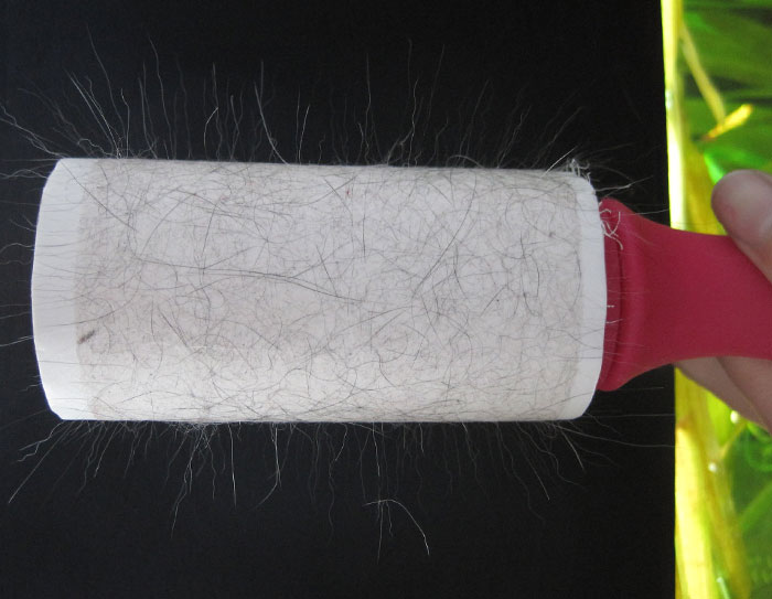 Lint roller covered in pet hair, illustrating using things the wrong way.