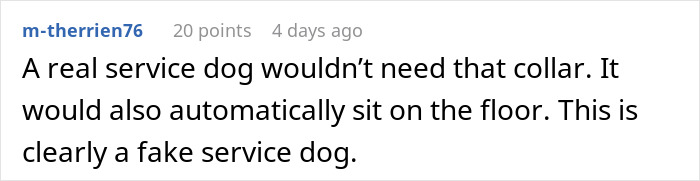 Comment about a service dog on a plane, questioning the authenticity of a service dog's behavior and equipment.