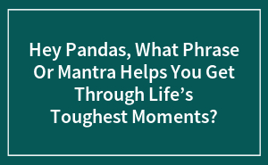 Hey Pandas, What Phrase Or Mantra Helps You Get Through Life’s Toughest Moments?