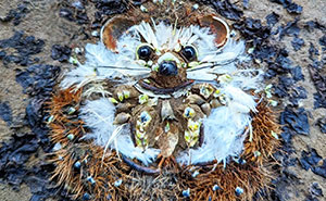 Earth Art: 43 Detailed Animal Portraits Made Using Materials From Nature, By This Artist