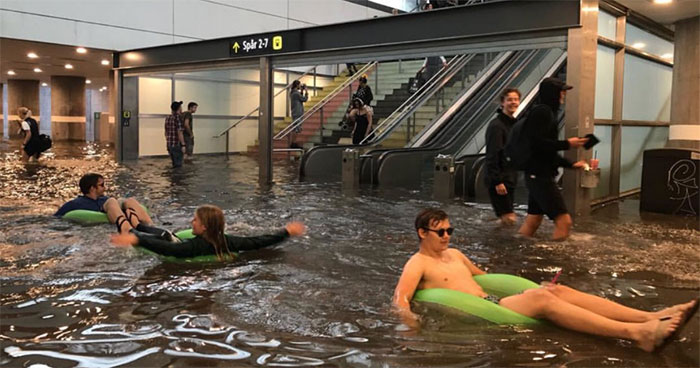 50 Times Humans And Animals Refused To Bow To The Fury Of Nature (New Pics)