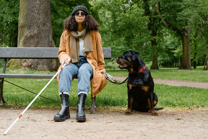 A person with a guide dog seated on a park bench, wearing casual attire and sunglasses, highlighting plane service dog seat.