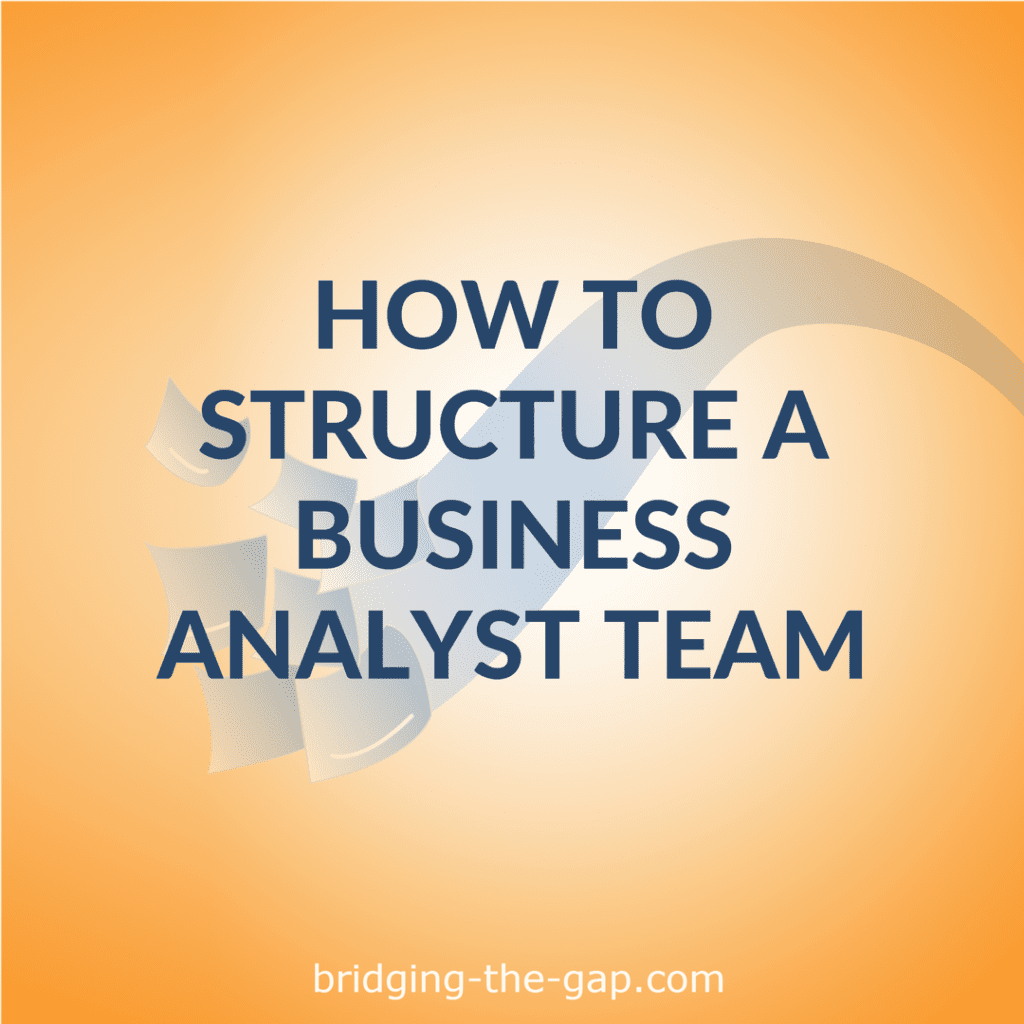 business analyst team