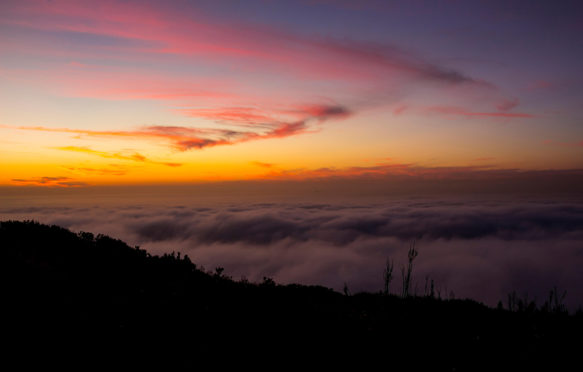 Heavy fog at sunset from Signal Hill. Credit: Bradley van der Westhuizen / Alamy Stock Photo EE1J4C