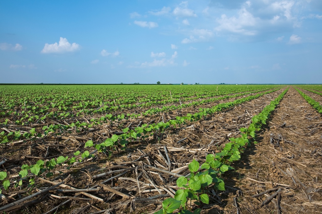 No-till farming, Arkansa, USA.