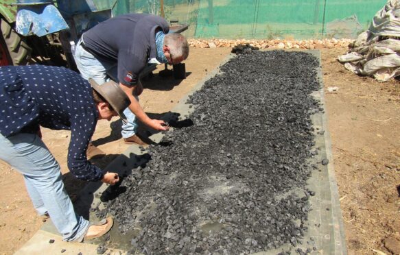 People check semi-processed biochar at a farm near Windhoek, Namibia.