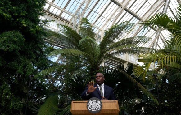 Foreign Secretary David Lammy at Kew Gardens in London, UK.