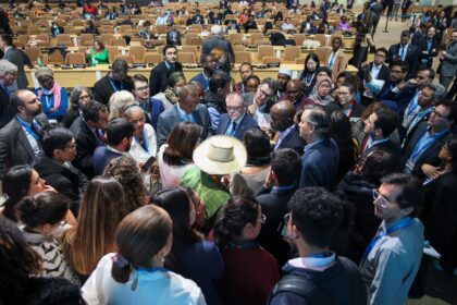 Parties deliberate at the COP29 in Baku.