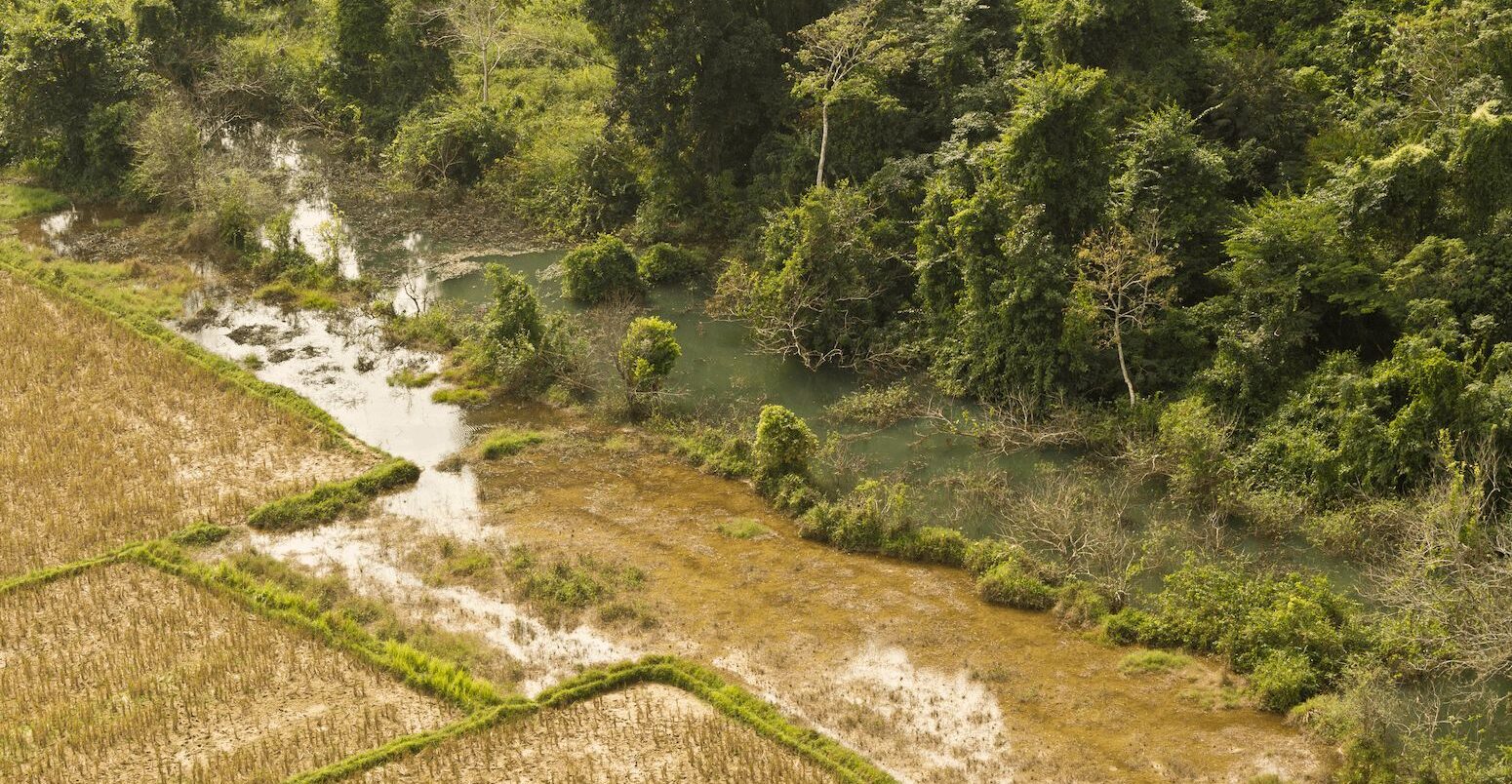 Flooded rice fields in Laos. Credit: Max Dominik Daiber / Alamy Stock Photo. Image ID: JJDTJK.