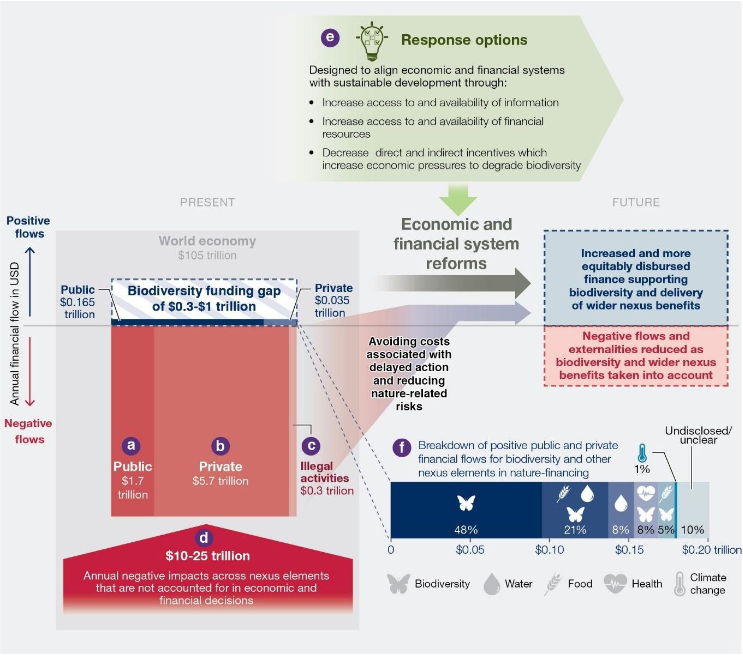 Funding for biodiversity and the nexus, contextualised within the wider economy. Credit: SPM.12 of the IPBES nexus assessment (2024).