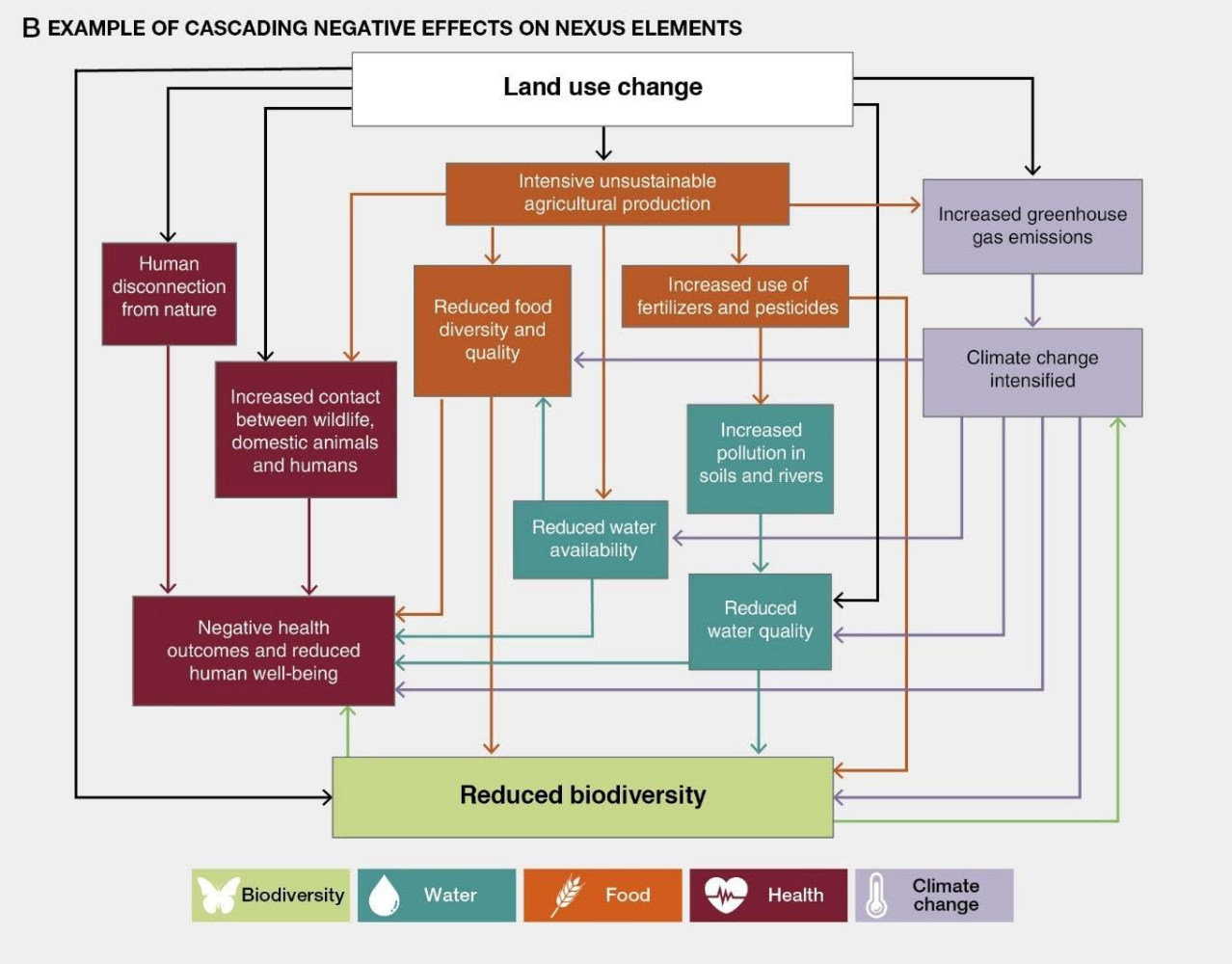 An example of cascading negative effects on nexus elements. Credit: SPM.4 of the IPBES nexus assessment (2024).