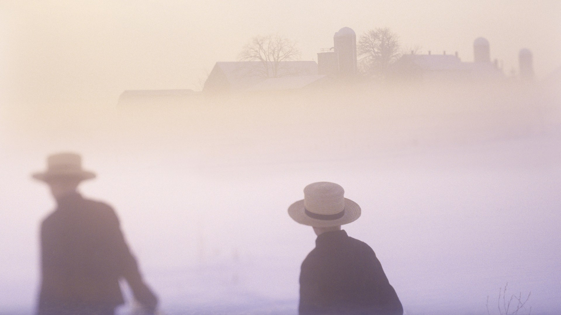 Two boys walking together from the Plain Community