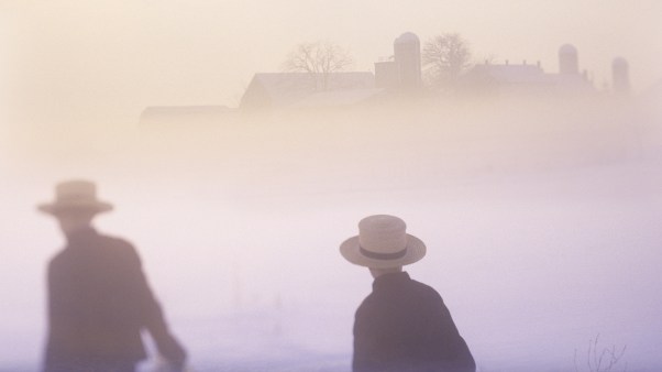 Two boys walking together from the Plain Community