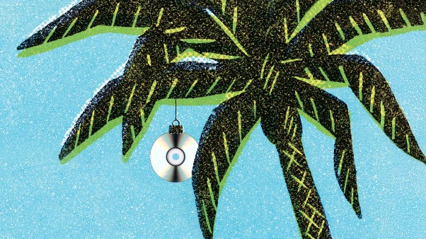 A palm tree with an ornament made out of a CD hiding in the leaves