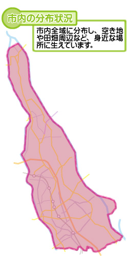 市内の分布状況の図