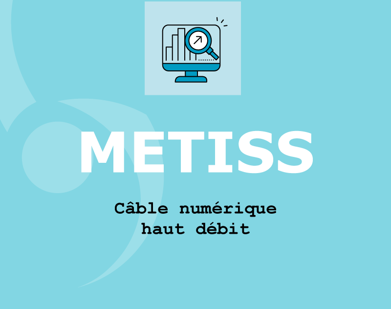 metiss