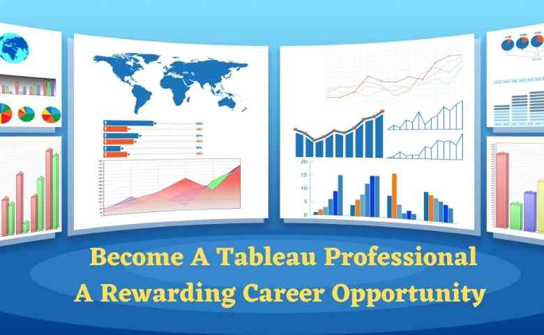 Tableau Professional