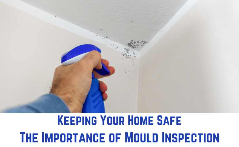 Keeping Your Home Safe The Importance of Mould Inspection