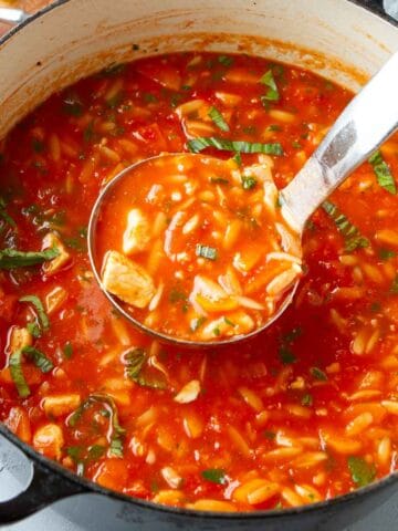 A pot full of chicken orzo soup, with a ladle scooping out a portion.