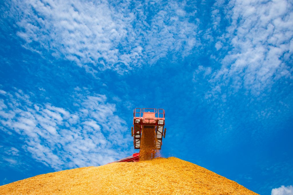 Sawmill residues used to manufacture sustainable biomass wood pellets at LaSalle BioEnergy in Louisiana.