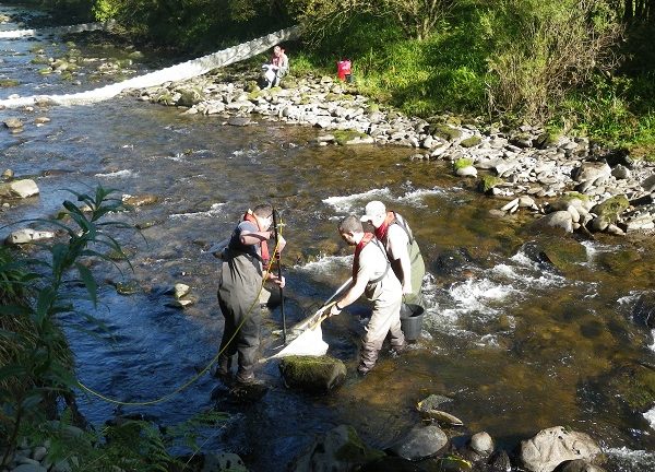 Black Water of Dee Restorations