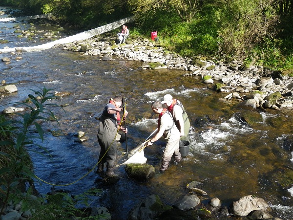 Black Water of Dee Restorations