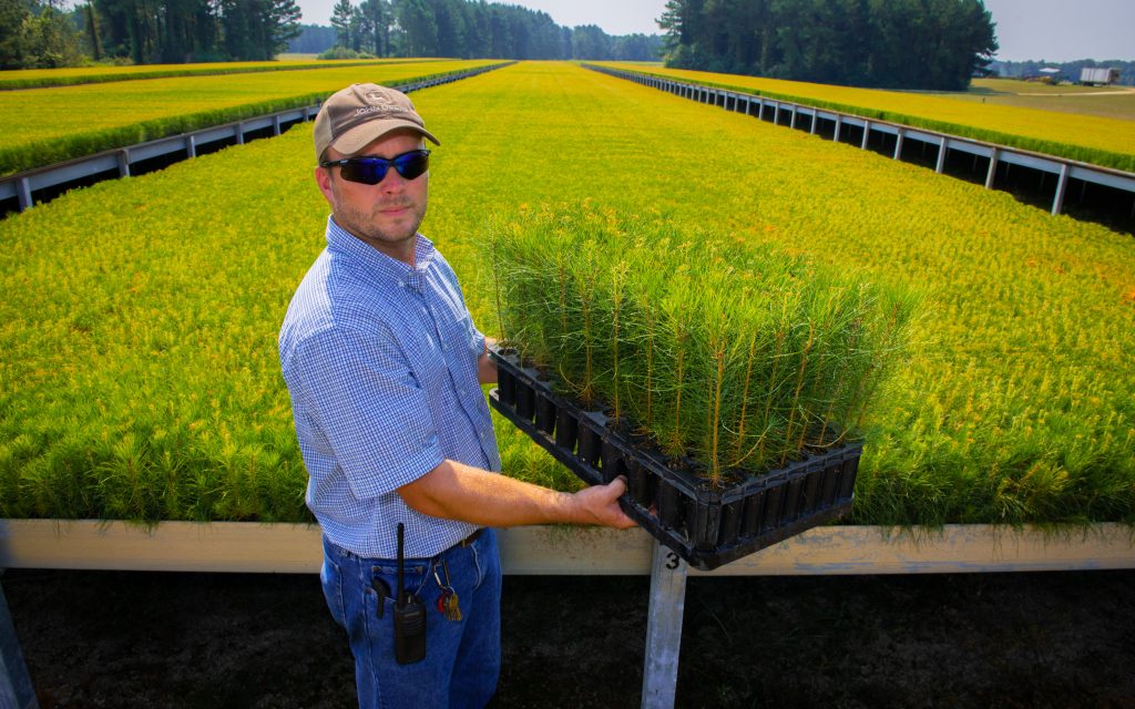 Tree nursery in Mississippi