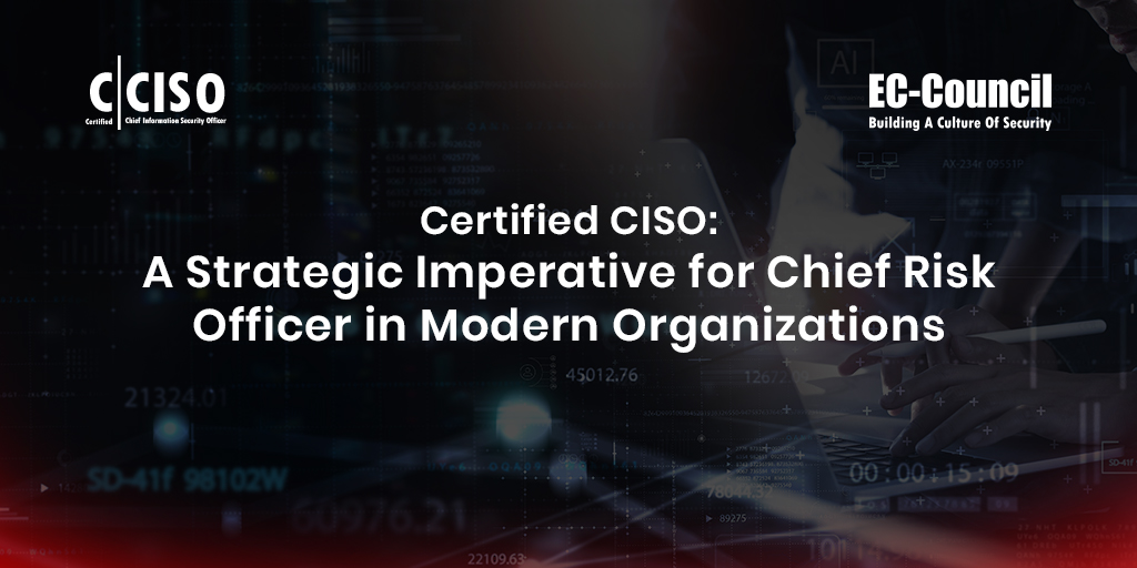 A Strategic Imperative for Chief Risk Officer in Modern Organizations