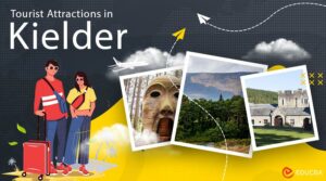 Tourist Attractions in Kielder