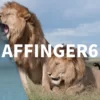 AFFINGER6は複数サイトで使えます！【ただし注意点あり】