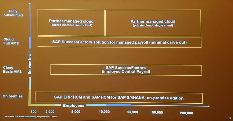 Payroll new model options