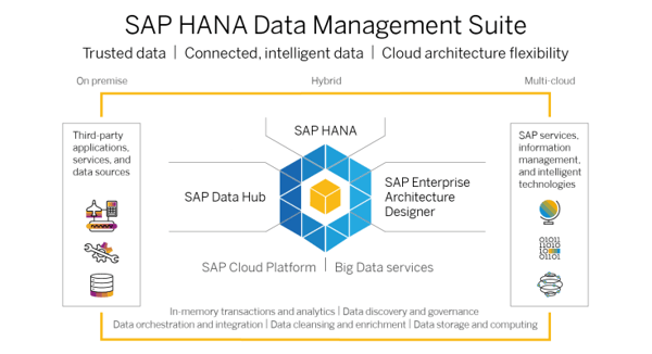 SAP HANA Data Management Suite