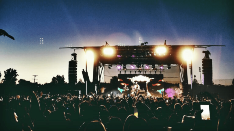 crowd at music festival