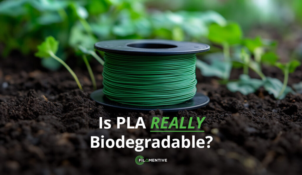 The Truth about the Biodegradability of PLA Filament