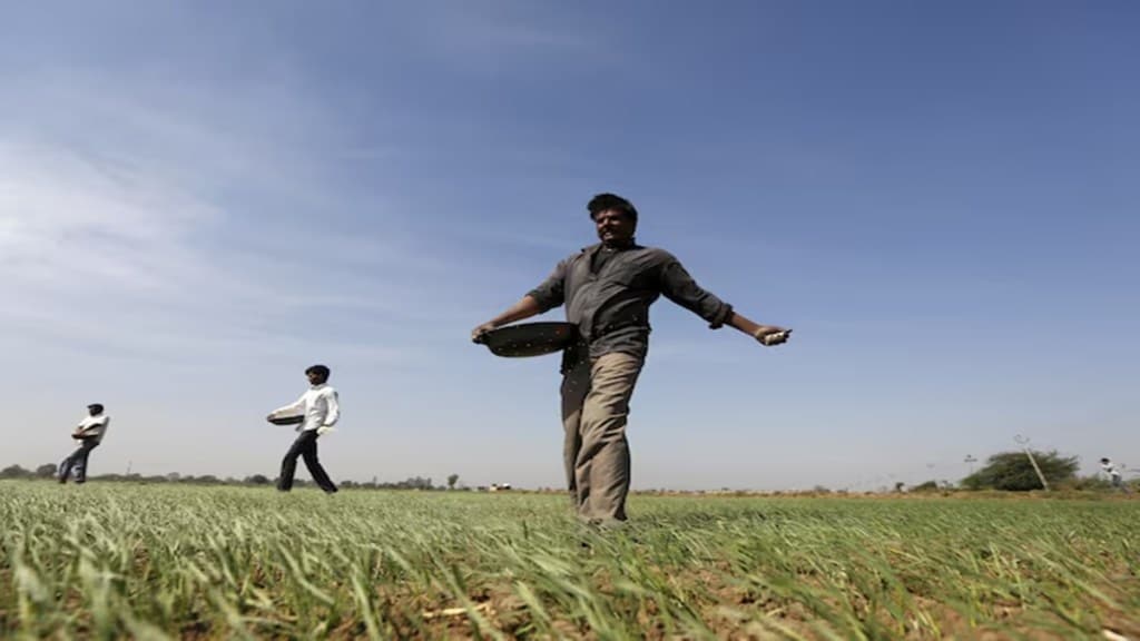 DAP, economy, DAP fertiliser, agriculture, NPK fertilisers, fertiliser ministryfarming, farmers, NBS mechanism,