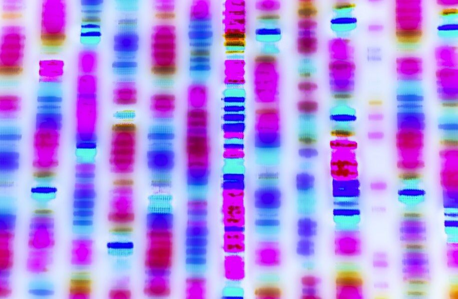 Colourful rendering of DNA data sequence