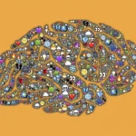 cognitive task analysis uncovers brain gems