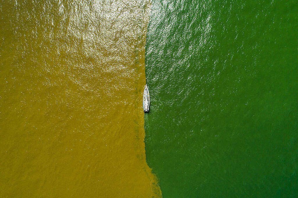 The Greenpeace sailboat Witness, at the meeting point of the waters from the Amazon River and the Atlantic Ocean. The Amazon Coast Expedition with the aim of documenting the potential impacts of oil exploration on the Amazon coast. The region is home to unique biodiversity, including the Great Amazon Reef System and vast mangroves, which are essential to local communities in terms of food and income. However, the oil industry is advancing in the area, with projects such as the FZA-M-59 block, located in the Foz do Amazonas Basin. © Fernanda Ligabue / Greenpeace