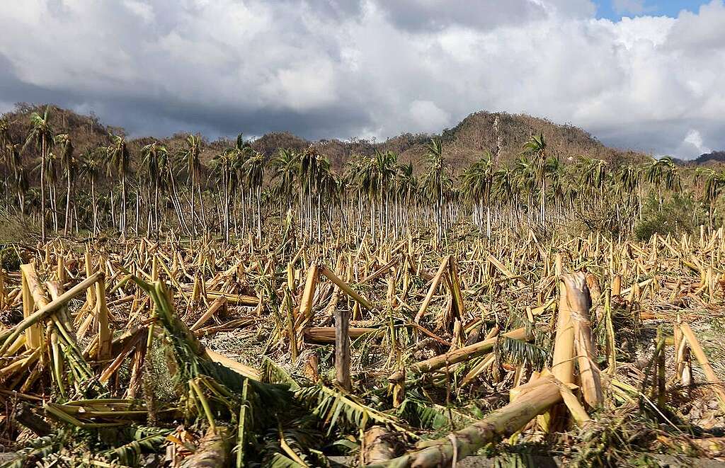 An extent of damages brought by super typhoon Man-yi in Dipaculao township, Aurora province in northeastern Philippines, four days after the devastating super typhoon ‘Pepito’ (international name: Man-yi). The super typhoon made its second landfall to this town causing massive landslides that isolated three other towns in Aurora province. © Bullit Marquez / Greenpeace © Bullit Marquez / Greenpeace