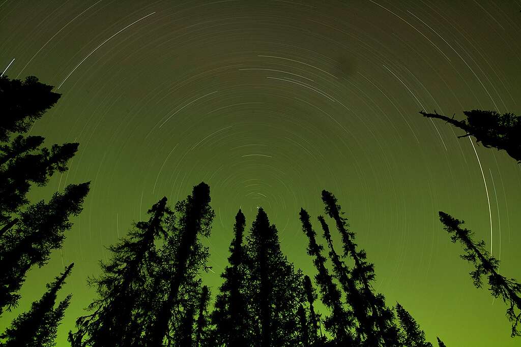 Boreal Forest - Montagnes Blanches, Quebec. © Markus Mauthe / Greenpeace