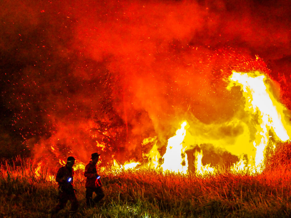 Forest and Peatland Fires in South Sumatra. © Muhammad Tohir / Greenpeace