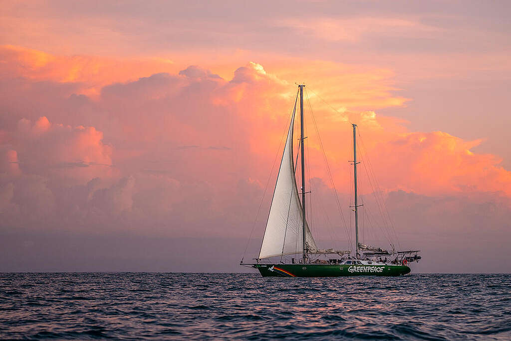 SV Oceania Visits Adele Island, Western Australia. © Greenpeace / Oliver Clarke