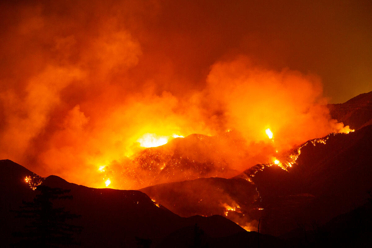 Bobcat Fire Continues to Burn in Southern California. © David McNew / Greenpeace