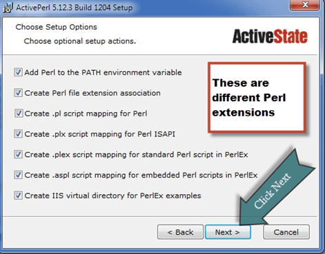 Installing Perl on Windows