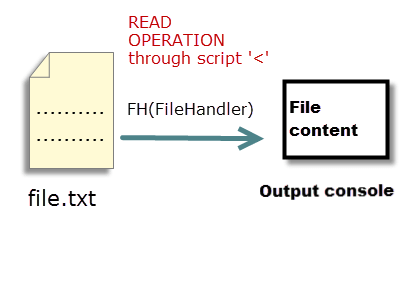 Reading file in Perl