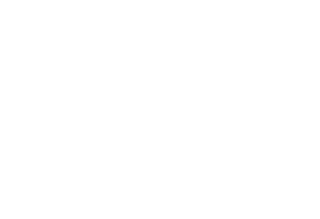 h2 view Logo