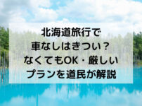 北海道旅行、車なし、きつい